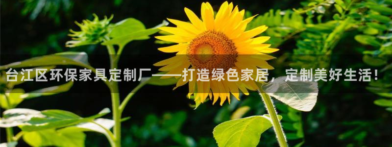 杏耀测速网址电脑版