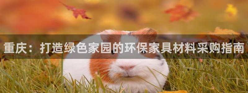 杏耀官网主管