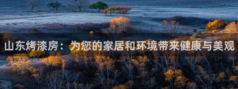 杏耀软件