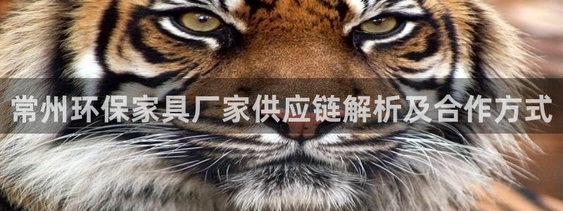 杏耀平台是真的吗