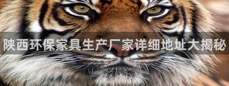 杏耀平台得专用通道
