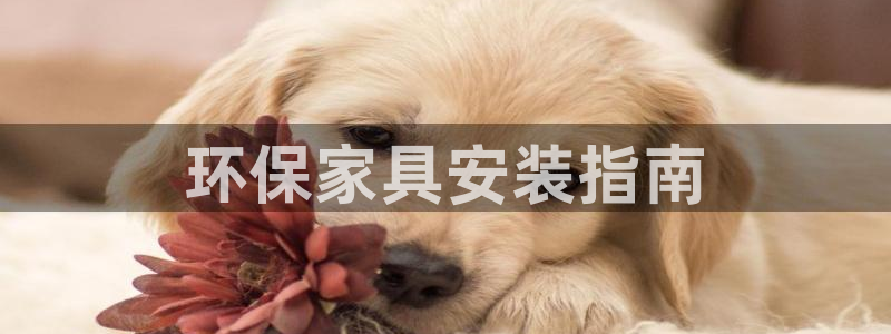 杏耀测速娱乐