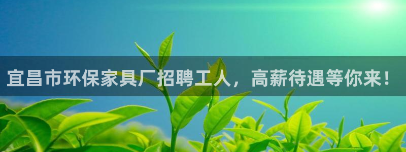 杏耀代理日工资多少