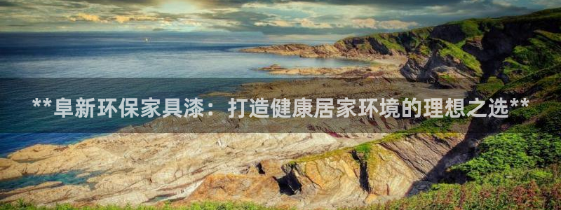 杏耀代理日工资多少