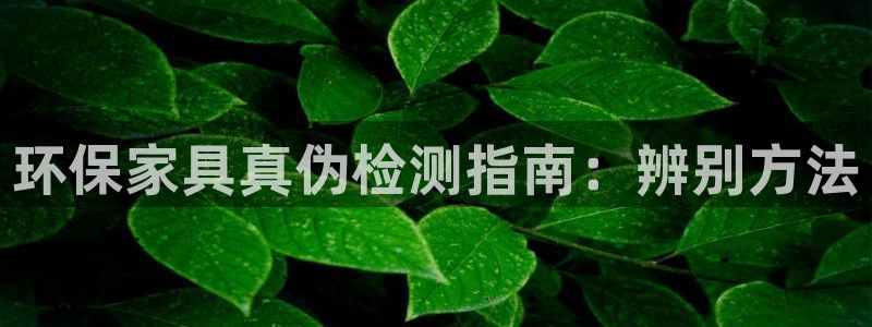 杏耀平台首页登录