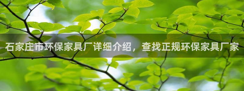 杏耀代理登录中心
