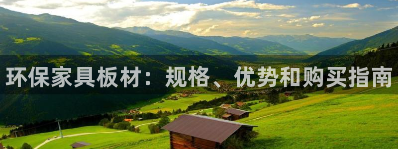 杏耀平台测