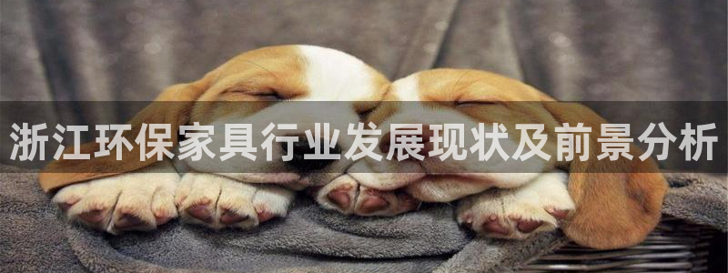 杏耀平台测速地址：浙江环保家具行业发展现状及前景分析