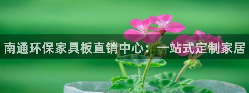 杏耀总代理