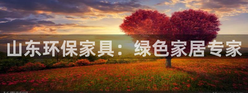 杏耀平台登录：山东环保家具：绿色家居专家