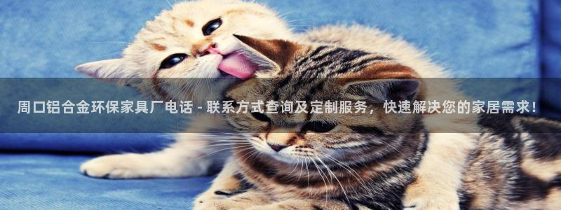 杏耀测速娱乐