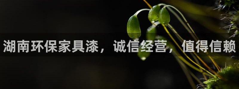 杏耀平台靠谱吗：湖南环保家具漆，诚信经营，值得信赖